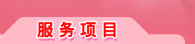 服务项目