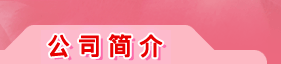 公司简介