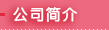 公司简介