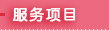 服务项目
